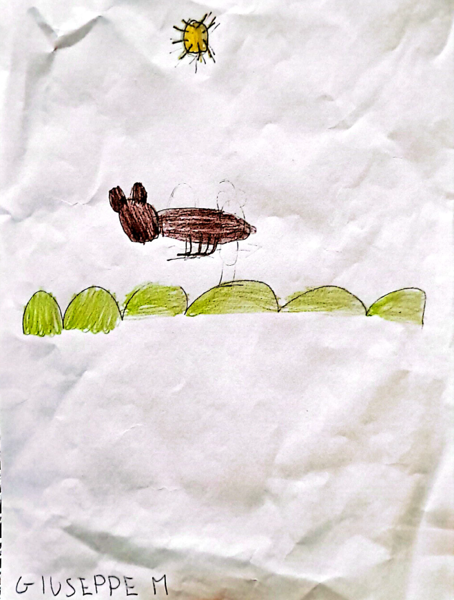 Disegno 19 della mostra