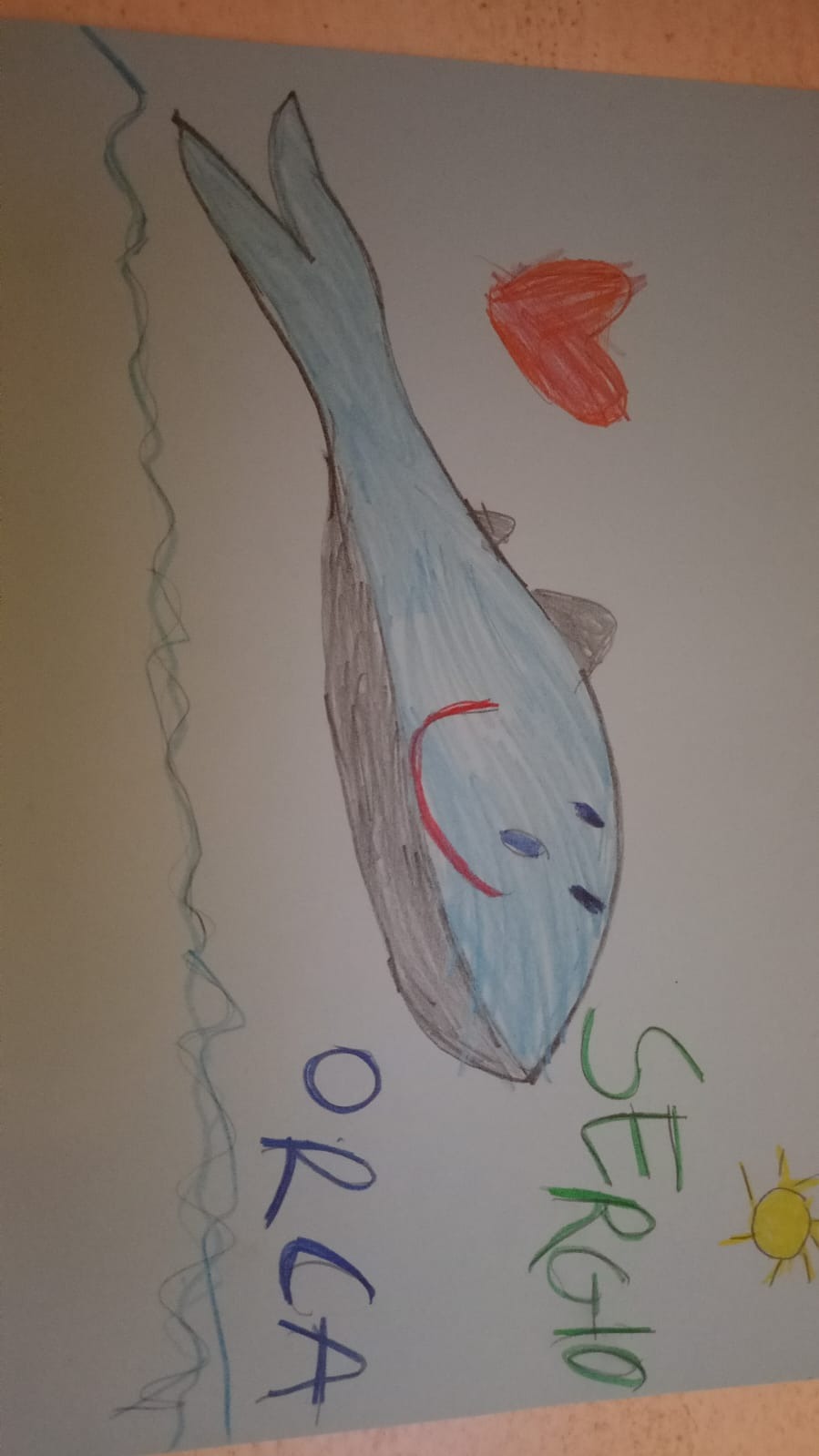 Disegno di Sergio