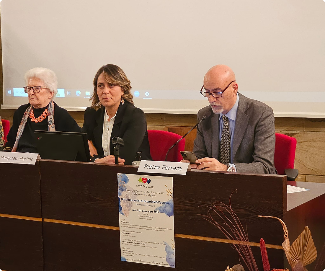 Presentazione del progetto, foto 2